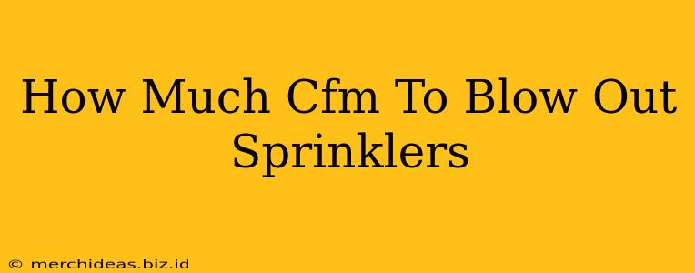 How Much Cfm To Blow Out Sprinklers