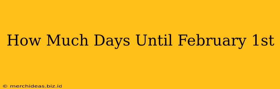 How Much Days Until February 1st
