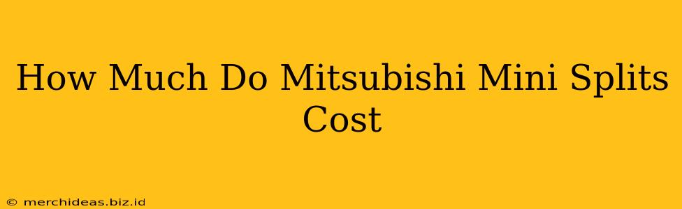 How Much Do Mitsubishi Mini Splits Cost