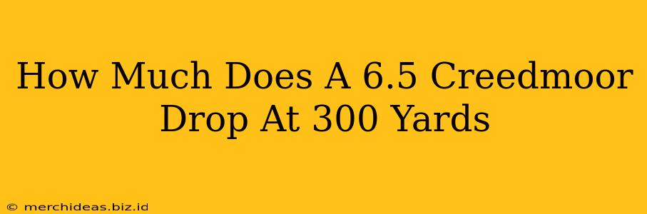 How Much Does A 6.5 Creedmoor Drop At 300 Yards