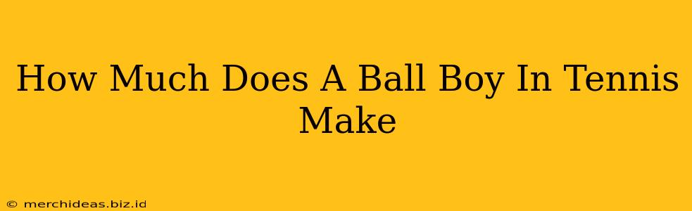 How Much Does A Ball Boy In Tennis Make
