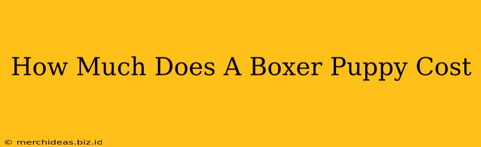 How Much Does A Boxer Puppy Cost