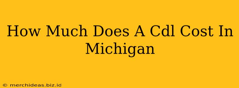 How Much Does A Cdl Cost In Michigan