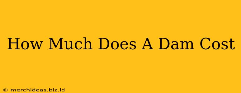 How Much Does A Dam Cost