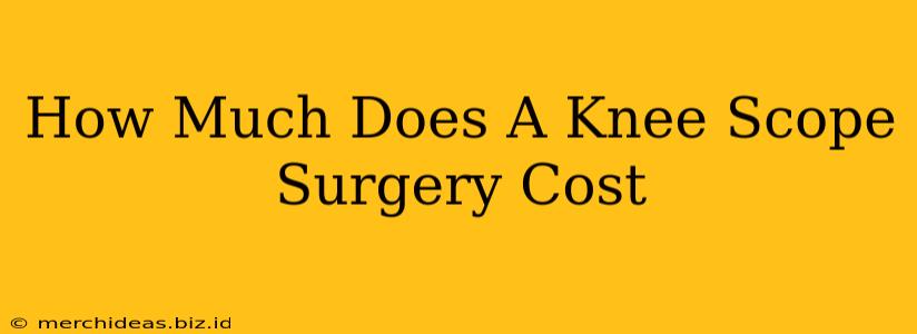 How Much Does A Knee Scope Surgery Cost