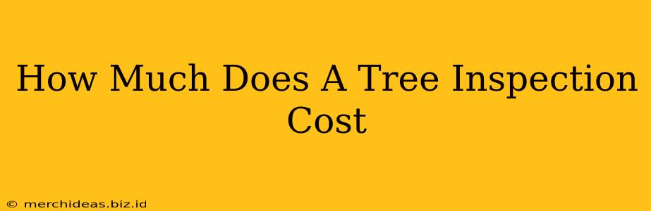 How Much Does A Tree Inspection Cost