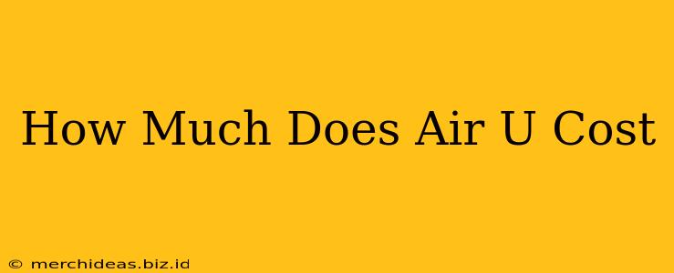 How Much Does Air U Cost