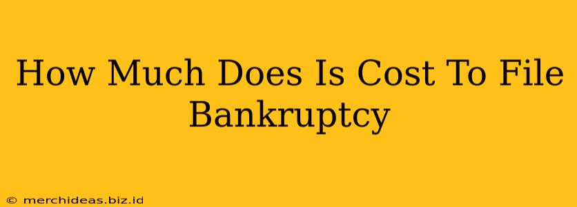 How Much Does Is Cost To File Bankruptcy