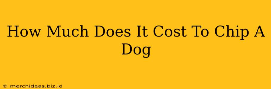 How Much Does It Cost To Chip A Dog