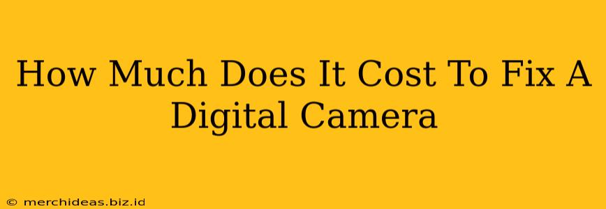 How Much Does It Cost To Fix A Digital Camera