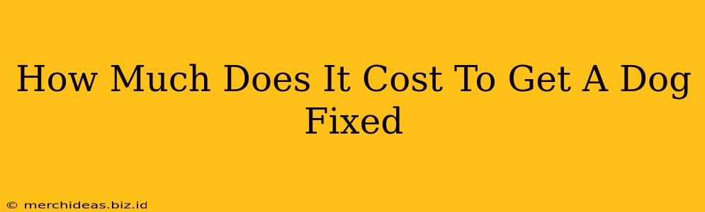 How Much Does It Cost To Get A Dog Fixed