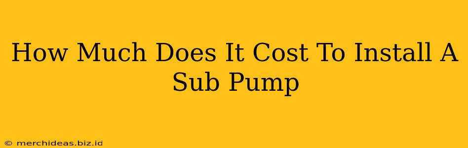 How Much Does It Cost To Install A Sub Pump