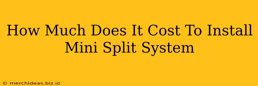 How Much Does It Cost To Install Mini Split System