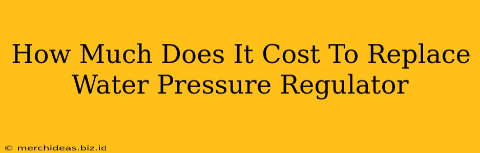 How Much Does It Cost To Replace Water Pressure Regulator