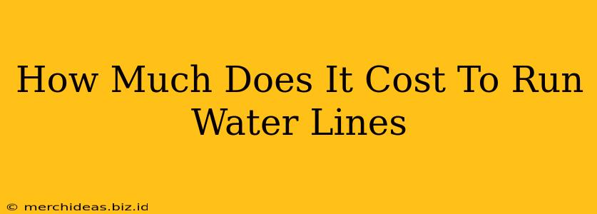 How Much Does It Cost To Run Water Lines