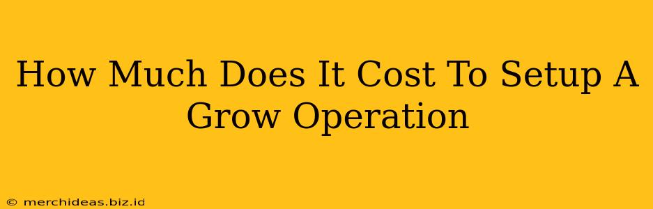 How Much Does It Cost To Setup A Grow Operation