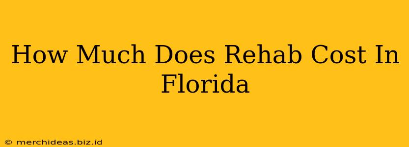 How Much Does Rehab Cost In Florida
