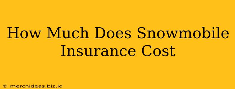 How Much Does Snowmobile Insurance Cost