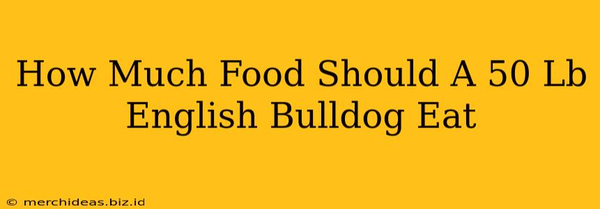 How Much Food Should A 50 Lb English Bulldog Eat