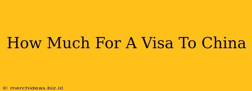 How Much For A Visa To China