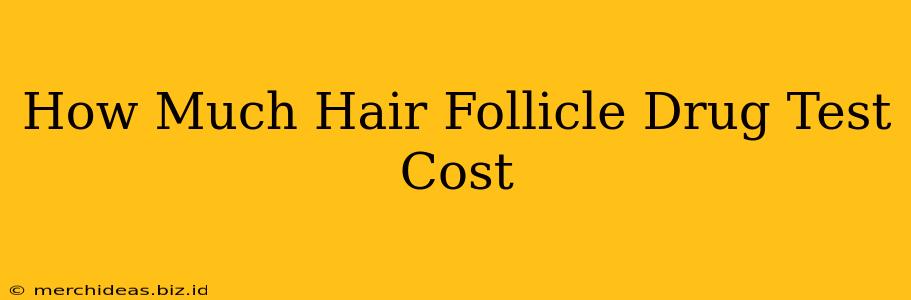 How Much Hair Follicle Drug Test Cost