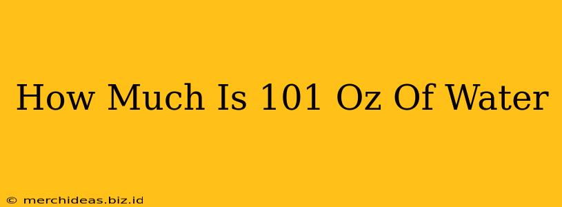 How Much Is 101 Oz Of Water
