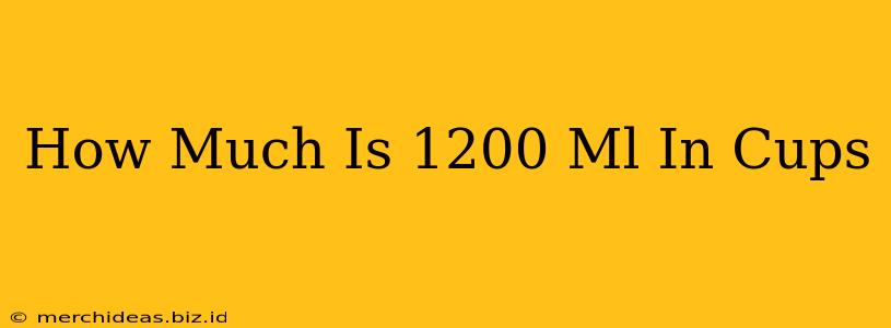 How Much Is 1200 Ml In Cups