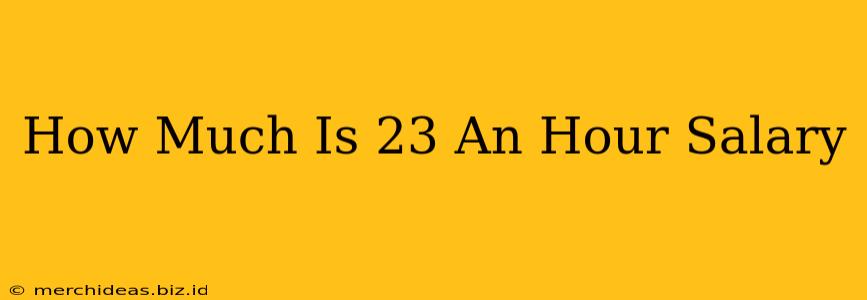 How Much Is 23 An Hour Salary