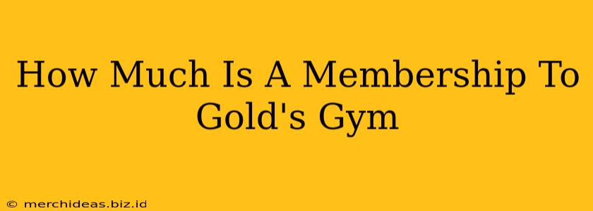 How Much Is A Membership To Gold's Gym