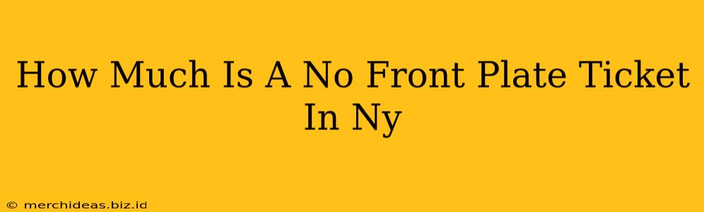 How Much Is A No Front Plate Ticket In Ny