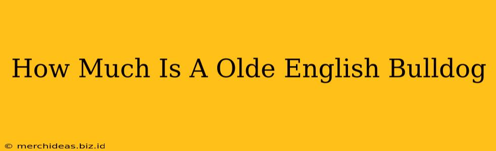 How Much Is A Olde English Bulldog