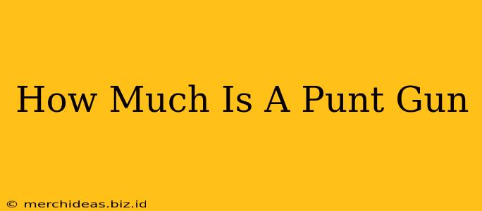 How Much Is A Punt Gun