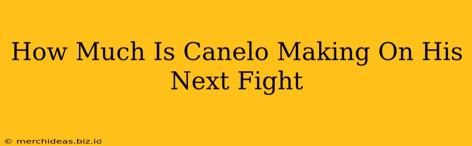 How Much Is Canelo Making On His Next Fight