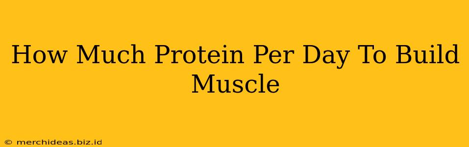 How Much Protein Per Day To Build Muscle