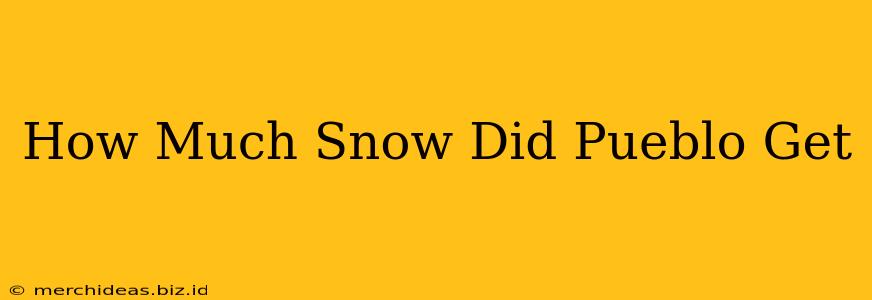 How Much Snow Did Pueblo Get