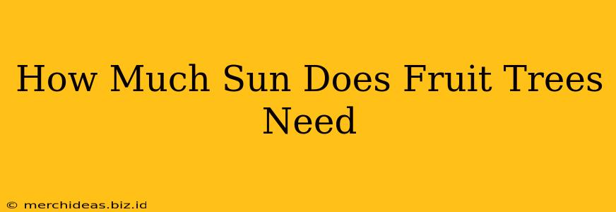 How Much Sun Does Fruit Trees Need