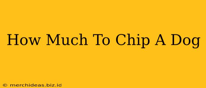 How Much To Chip A Dog