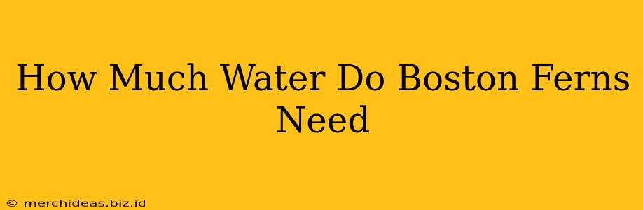 How Much Water Do Boston Ferns Need