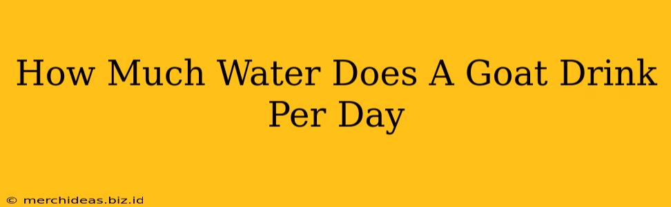 How Much Water Does A Goat Drink Per Day