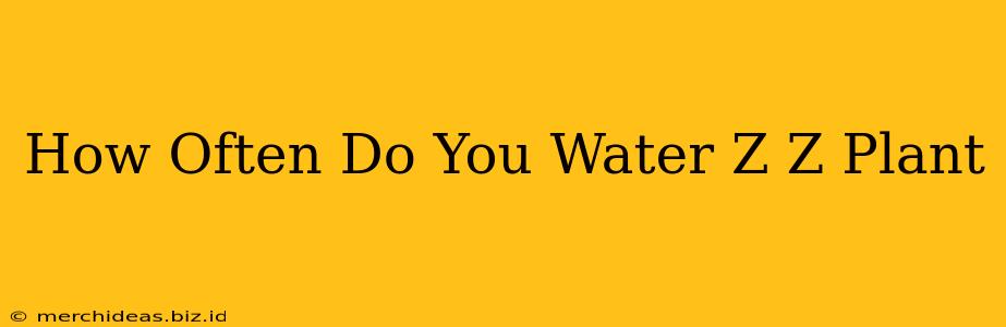 How Often Do You Water Z Z Plant