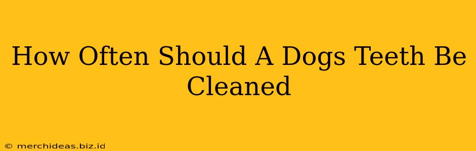 How Often Should A Dogs Teeth Be Cleaned