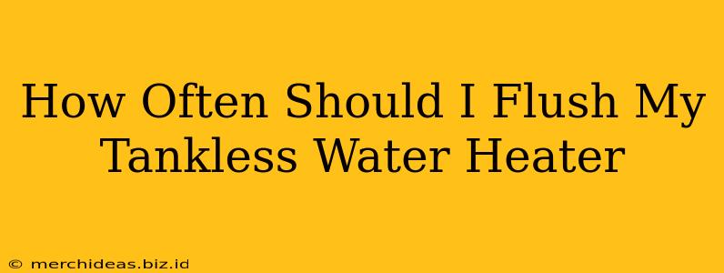 How Often Should I Flush My Tankless Water Heater