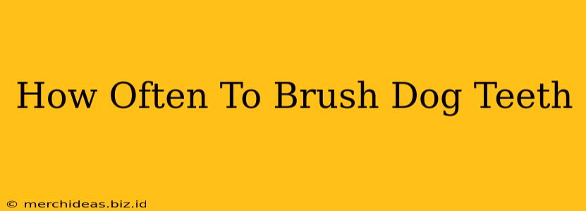 How Often To Brush Dog Teeth