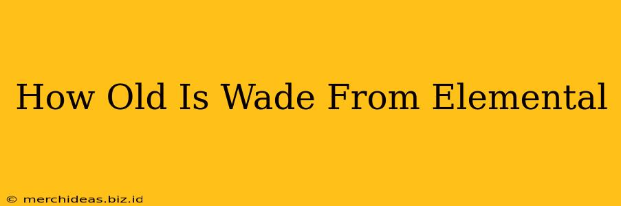 How Old Is Wade From Elemental