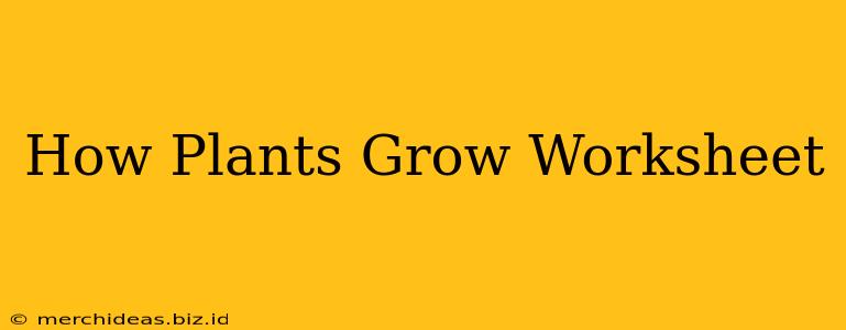 How Plants Grow Worksheet