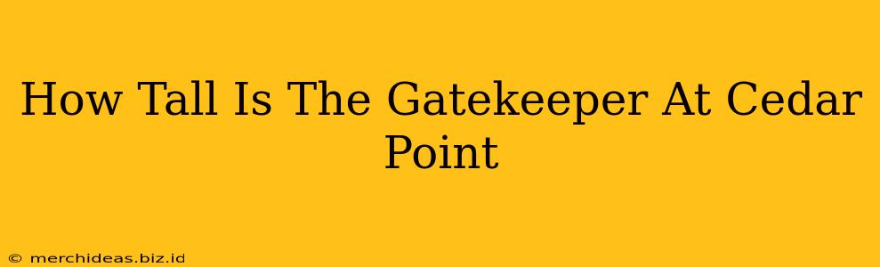 How Tall Is The Gatekeeper At Cedar Point
