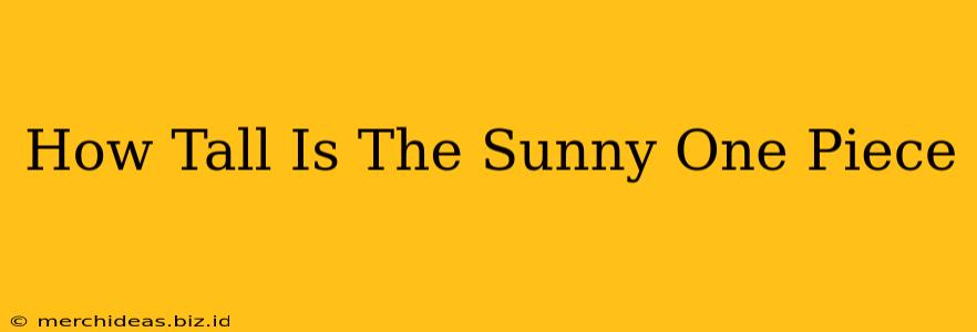 How Tall Is The Sunny One Piece