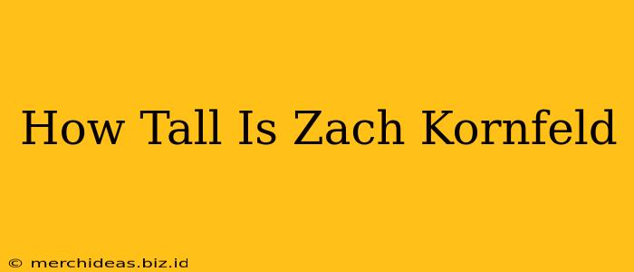 How Tall Is Zach Kornfeld