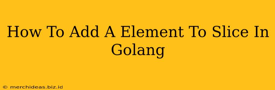 How To Add A Element To Slice In Golang