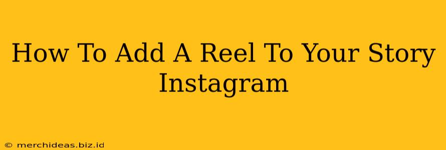 How To Add A Reel To Your Story Instagram